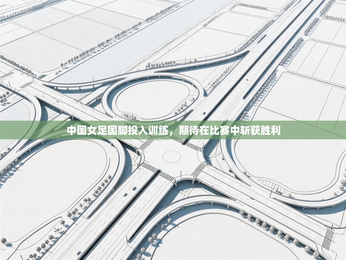 中国女足国脚投入训练，期待在比赛中斩获胜利  第1张