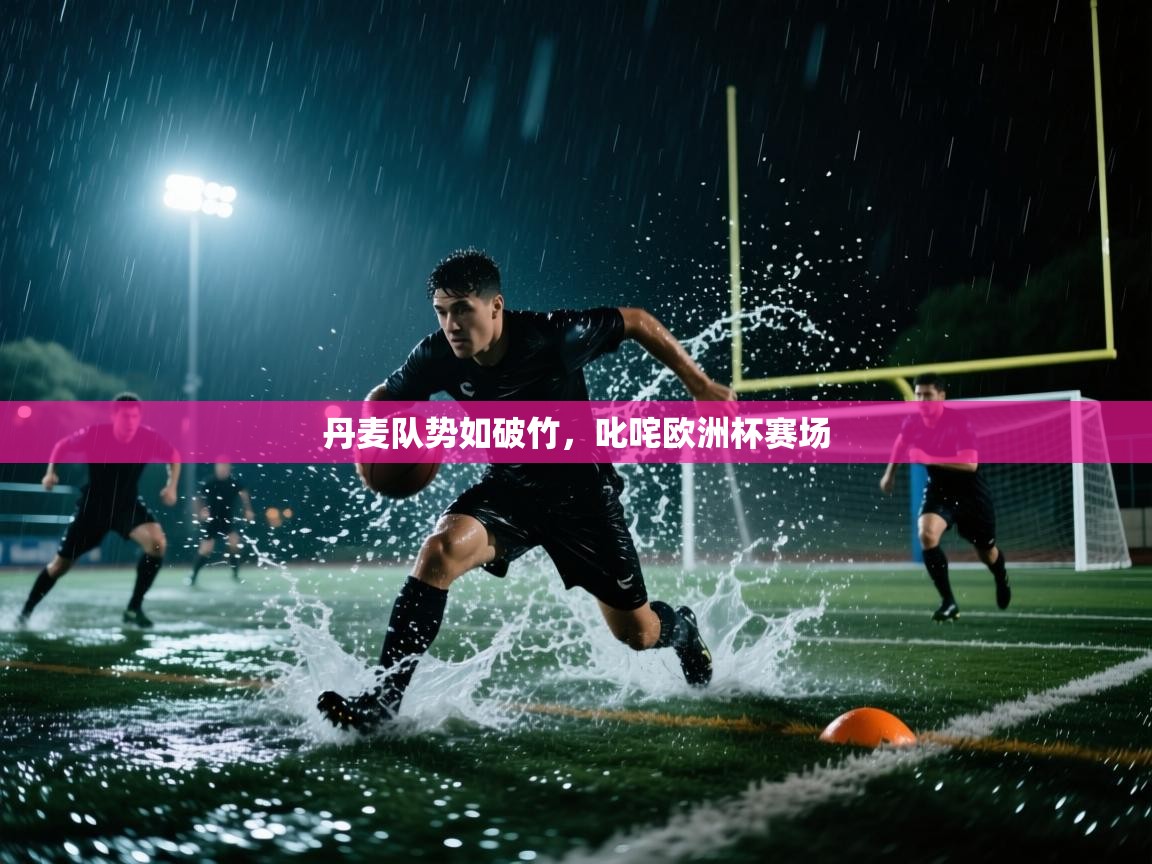 丹麦队势如破竹，叱咤欧洲杯赛场  第2张