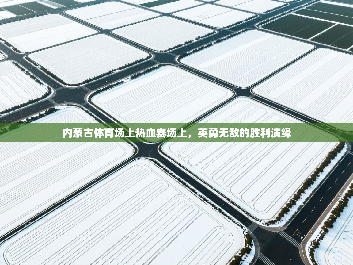 内蒙古体育场上热血赛场上，英勇无敌的胜利演绎  第2张
