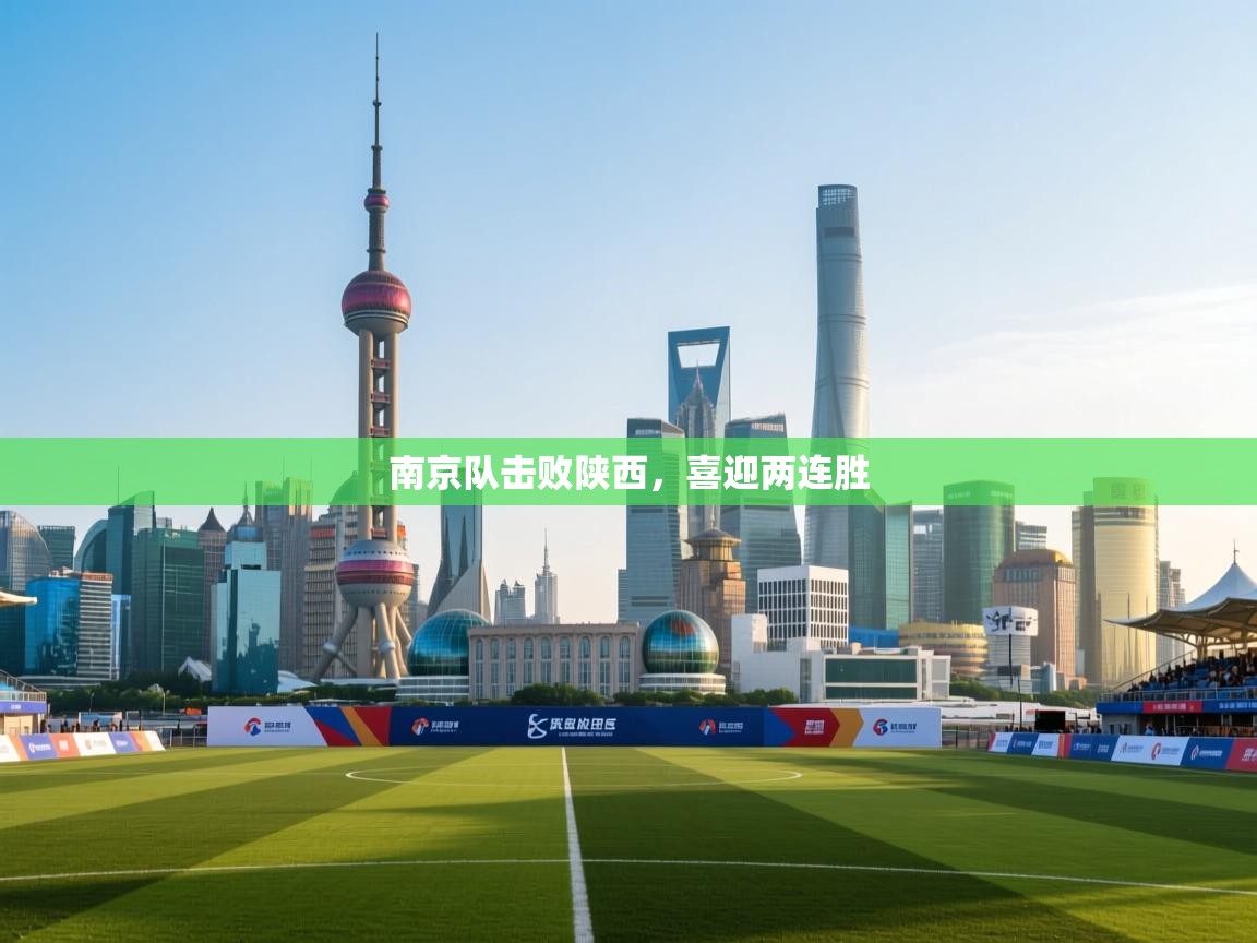 南京队击败陕西，喜迎两连胜