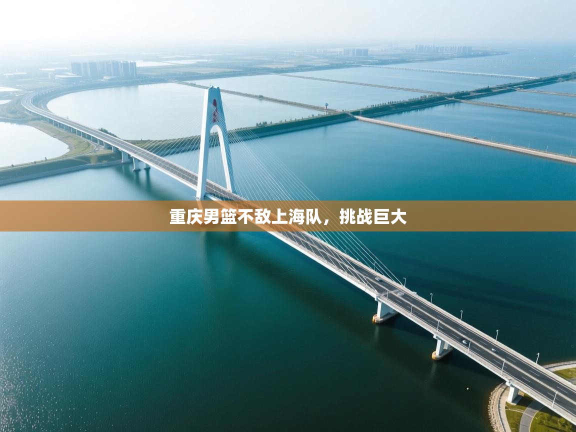 重庆男篮不敌上海队，挑战巨大  第2张