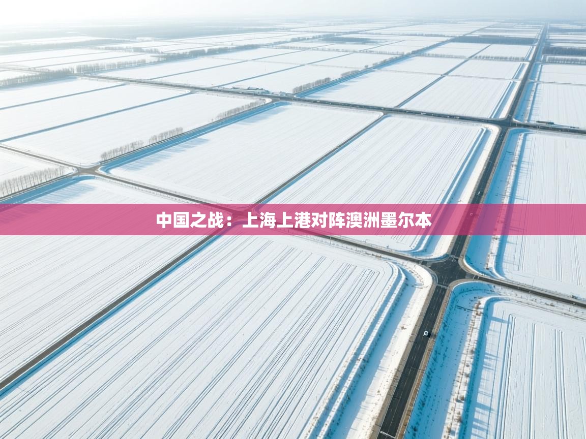 中国之战：上海上港对阵澳洲墨尔本  第2张