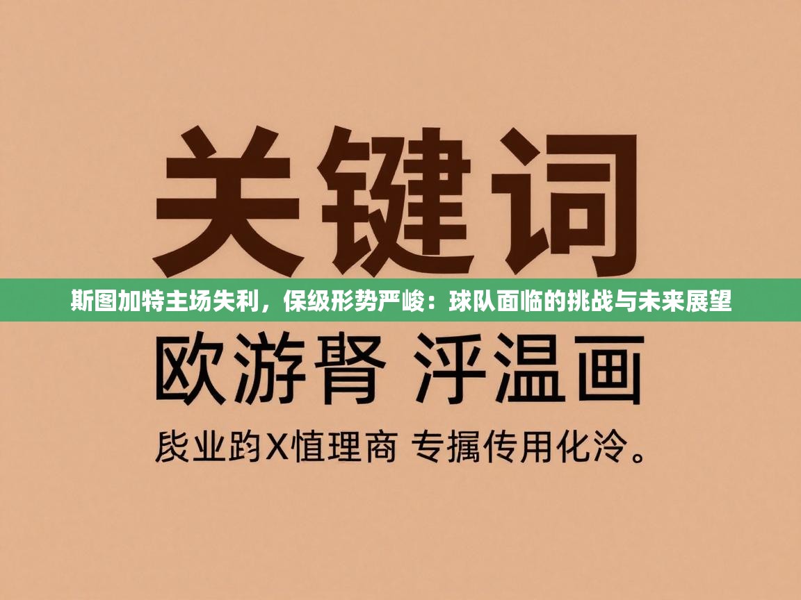 斯图加特主场失利,保级形势严峻:球队面临的挑战与未来展望 第1张