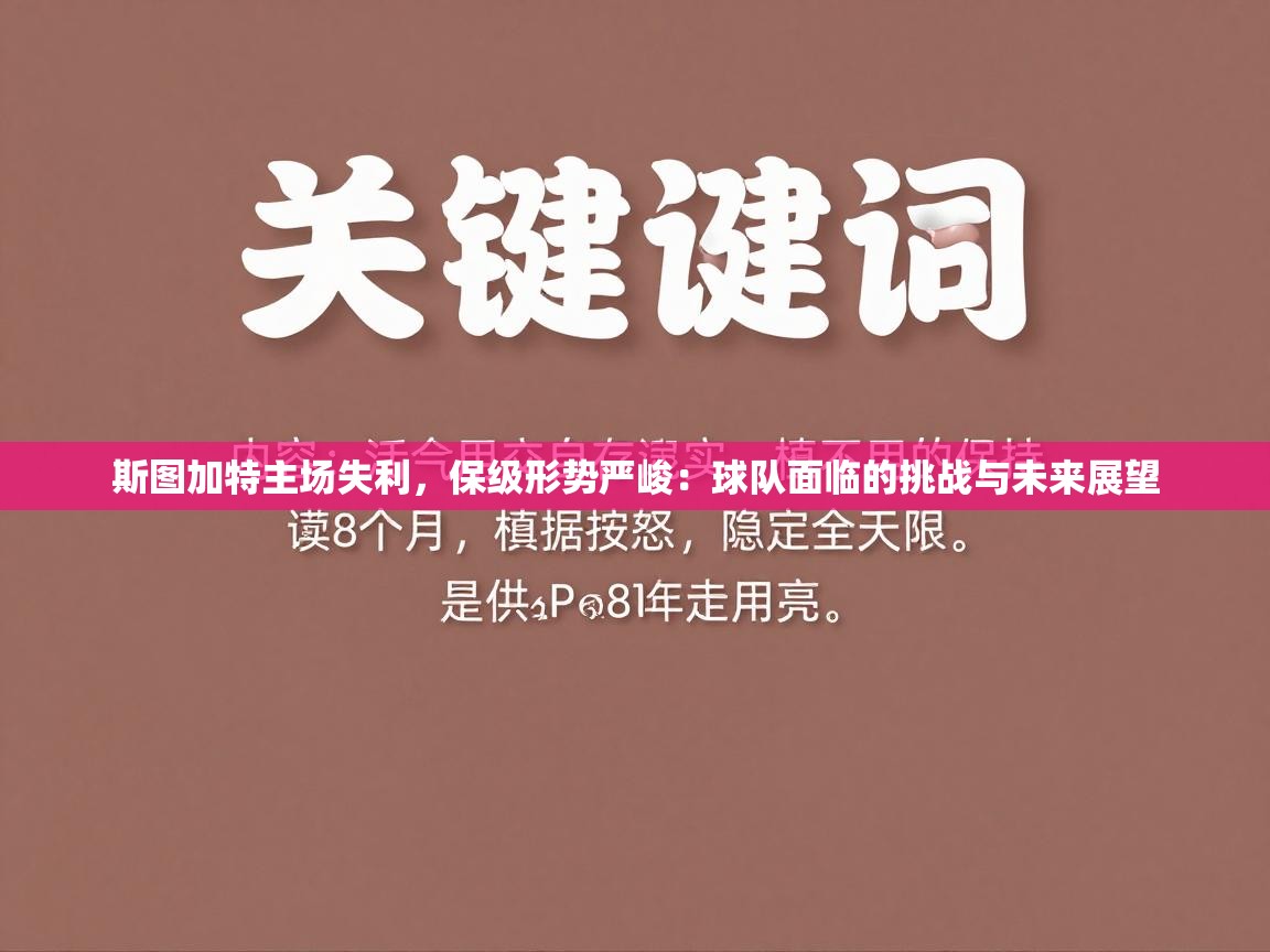 斯图加特主场失利,保级形势严峻:球队面临的挑战与未来展望 第2张